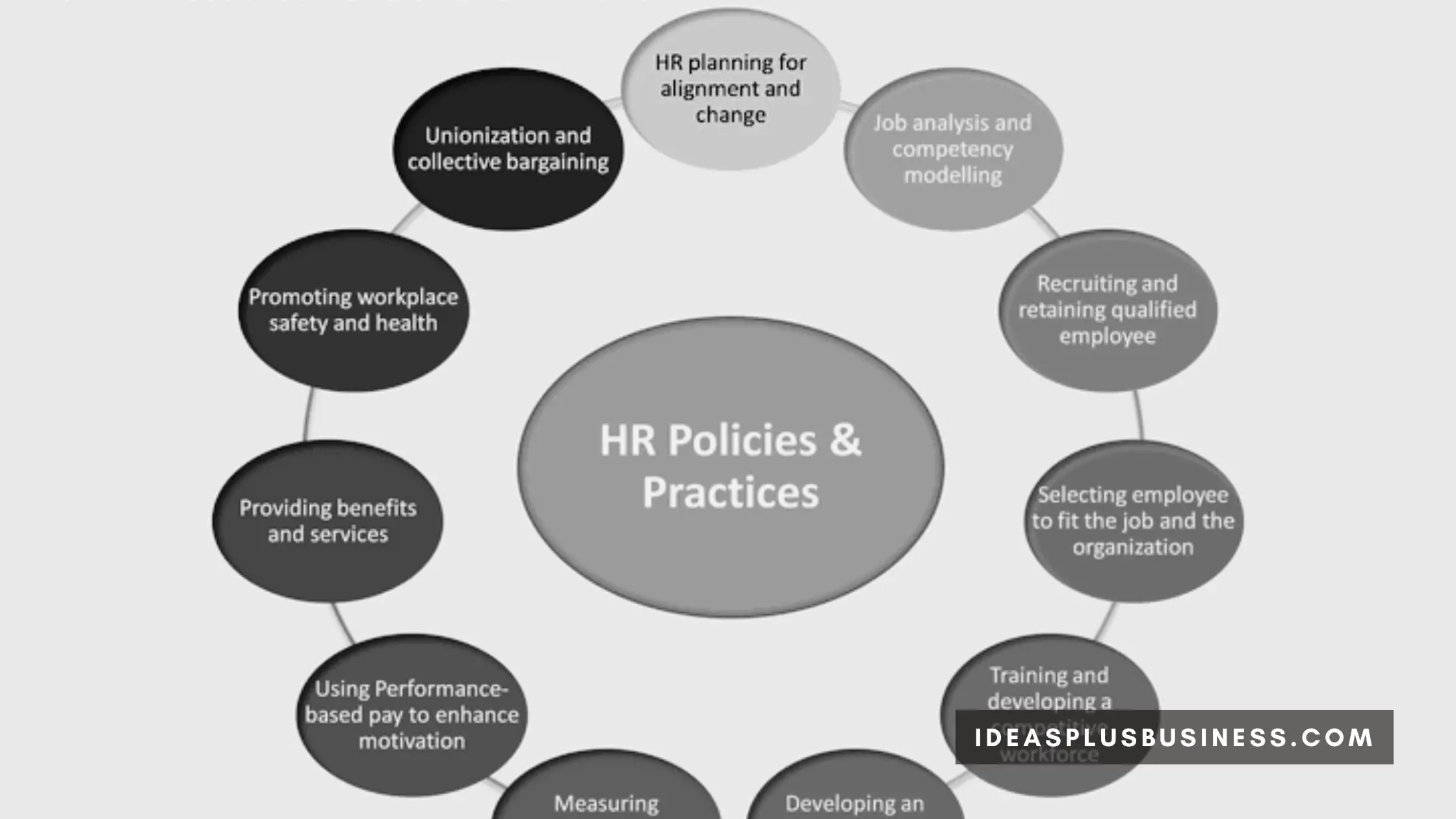 HR Policy and Benefits Benchmarking