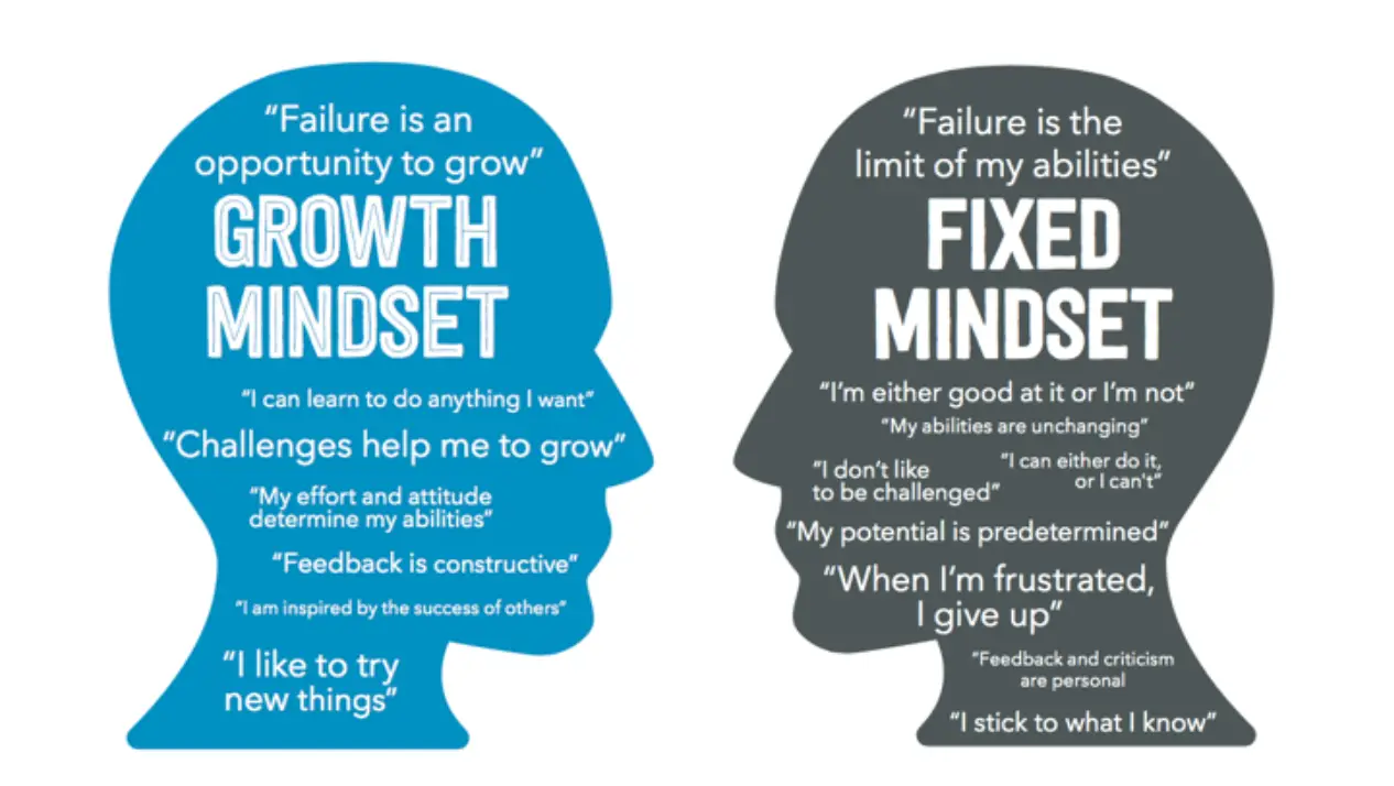Growth Mindset Vs Fixed Mindset In Business Strategy